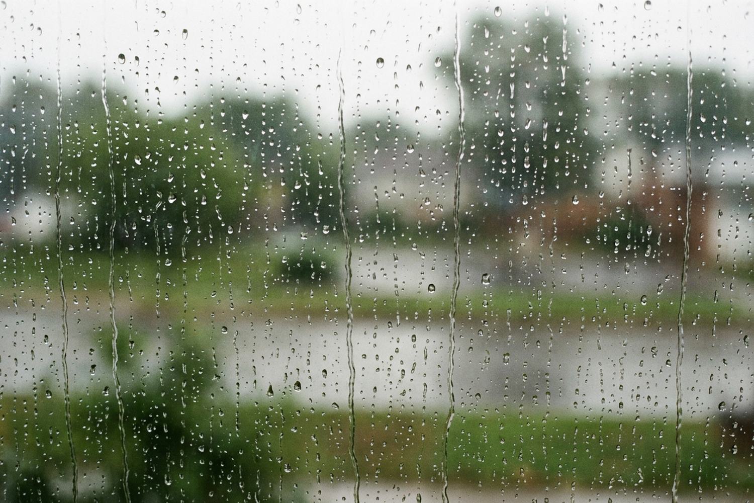 Rain running in beaded lines down a window, the world beyond entirely out of focus.