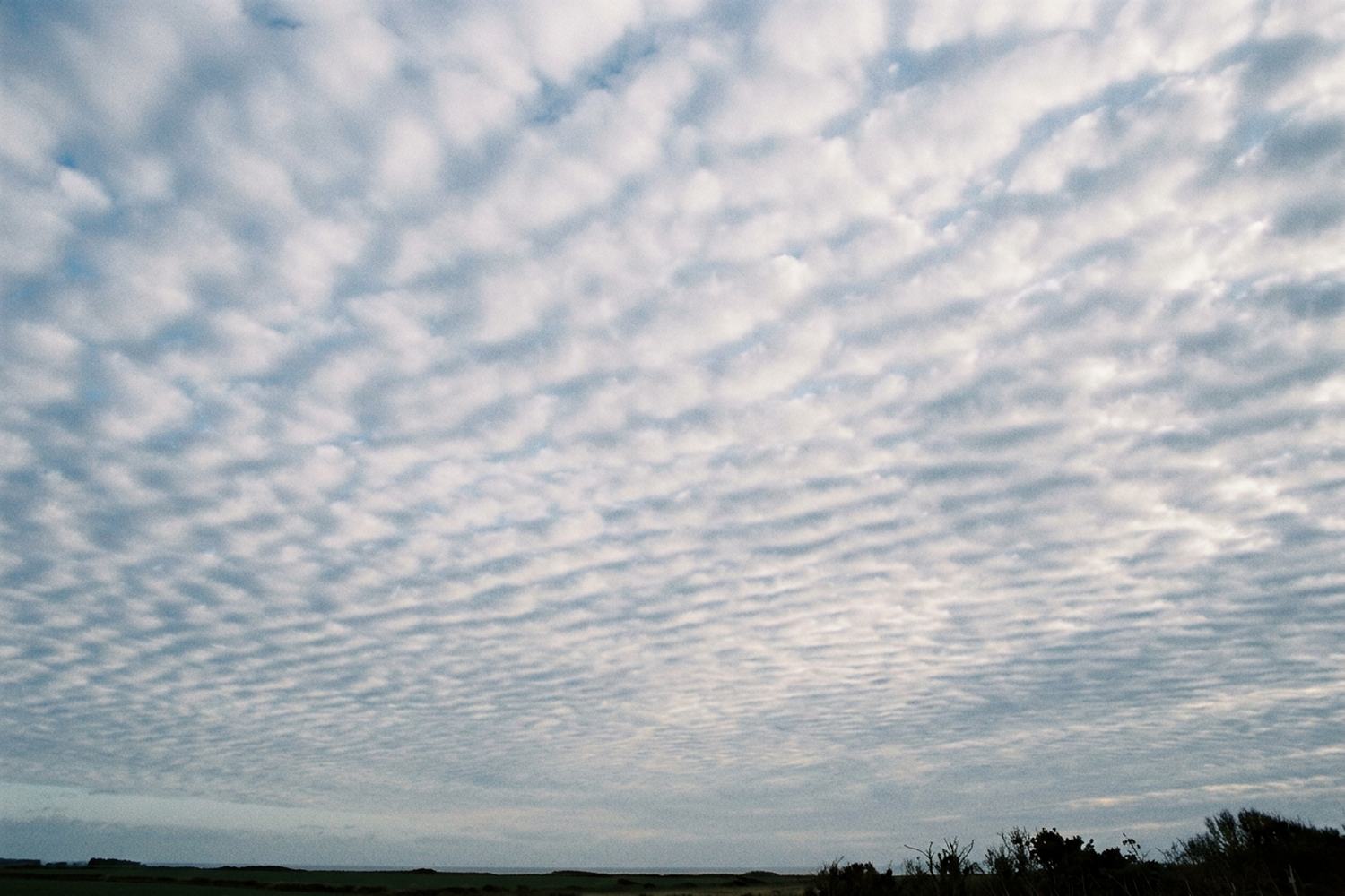 A whole sky of mackerel cloud in fine rows above a thin strip of dark land.