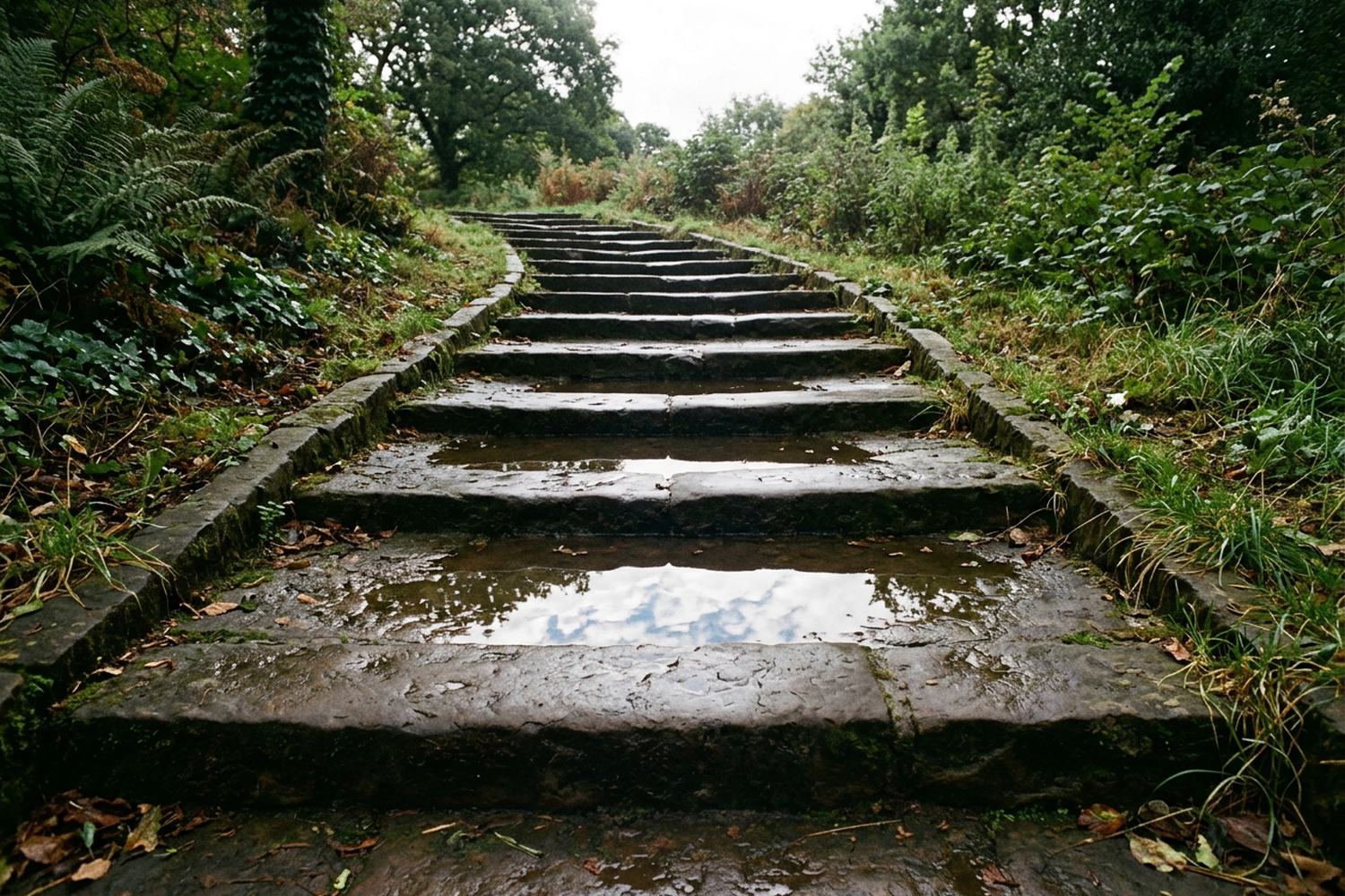 Wet stone steps after rain with standing water on two treads reflecting the sky.